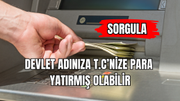 Devlet Adınıza TC’nize Para Yatırmış Olabilir Sorgula