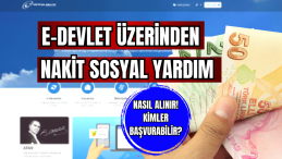 E-Devlet Üzerinden Nakit Sosyal Yardım Nasıl Alınır! Kimler Başvurabilir?