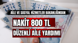 Aile ve Sosyal Hizmetler Bakanlığından Nakit 800 TL Düzenli Aile Yardımı?