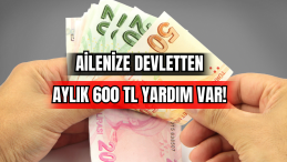 Ailenize Devletten Aylık 600 TL Yardım Var! 