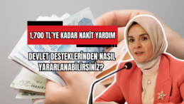 1,700 TL’ye Kadar Nakit Yardım Devlet Desteklerinden Nasıl Yararlanabilirsiniz? 