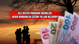 Aile Destek Programı Ödemeleri Neden Durduruldu? Çözüm Yolları Nelerdir?