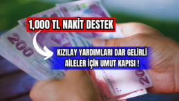 Kızılay Yardımları Dar Gelirli Aileler İçin Umut Kapısı 
