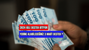 2024 Aile Destek Bitiyor Yerine Alabileceğiniz 3 Nakit Destek ? 