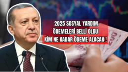 2025 Sosyal Yardım Ödemeleri Belli Oldu Kim Ne Kadar Ödeme Alacak! 