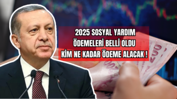 2025 Sosyal Yardım Ödemeleri Belli Oldu Kim Ne Kadar Ödeme Alacak! 