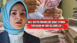 Aile Destek Ödemeleri Şubat Ayında Yapılacak mı? 
