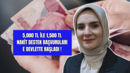 5,000 TL İle 1,500 TL Nakit Destek Başvuruları e Devlette Başladı