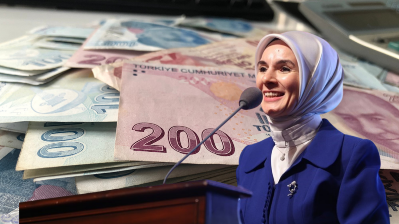 Devletten Başvuru Yapanlara Tek Seferlik 4.421 TL Destek