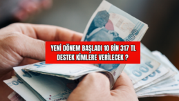 Yeni Dönem Başladı 10 Bin 317 TL Destek Kimlere Verilecek?