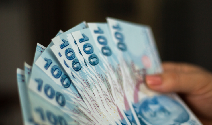 Vatandaşlık Maaşında Adil Dönem: Kim Ne Kadar Alacak? 