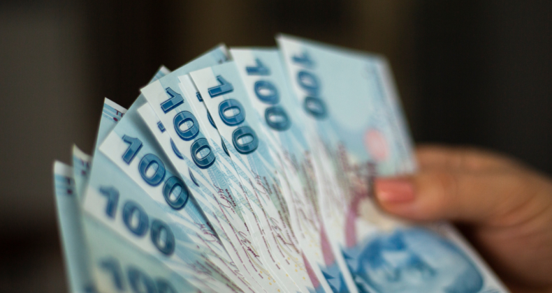 Vatandaşlık Maaşında Adil Dönem: Kim Ne Kadar Alacak? 